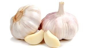 The work of garlic in the body