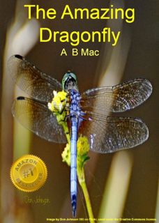 ACCESS [PDF EBOOK EPUB KINDLE] The Amazing Dragonfly (Amazing Facts About Insects Book 2) by  A B  M