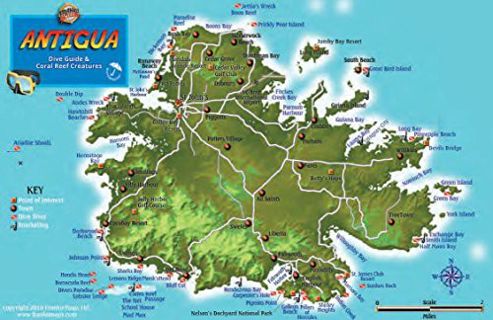 Access [EBOOK EPUB KINDLE PDF] Antigua Dive Map & Coral Reef Creatures Guide Franko Maps Laminated F