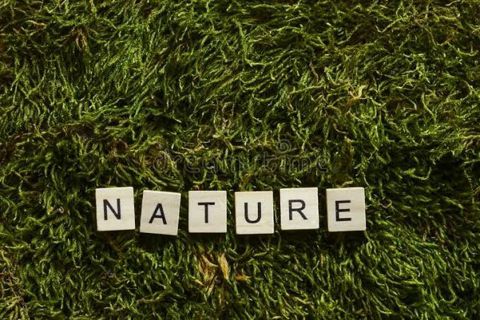 What is Nature?