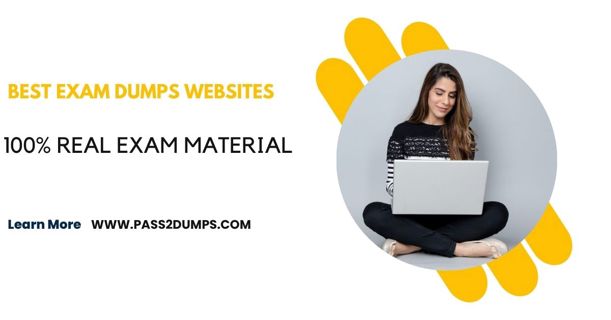 Maximize Your Safety: Best Dumps Websites Dissected