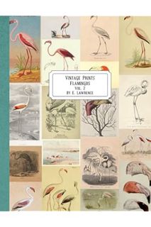 Download Ebook Vintage Prints: Flamingos: Vol. 2 by E. Lawrence