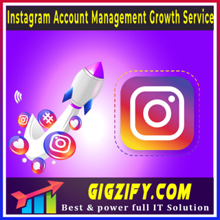 Instagram Account Management Growth Service