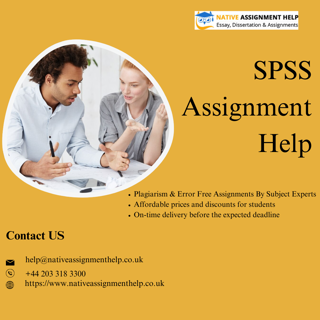 Unleashing Your Potential: Understanding SPSS Assignment Help