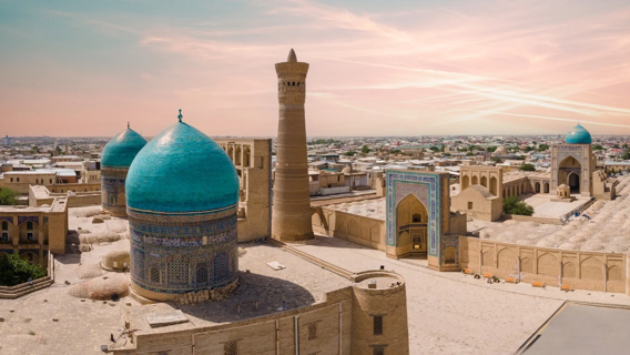 Why Choose Study MBBS in Uzbekistan: A Deep Dive Into Your Medical Education Journey