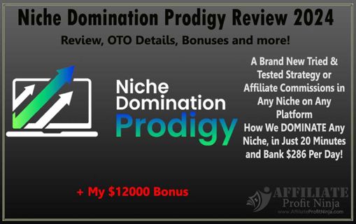 Niche Domination Prodigy Review 2024:The Uncensored Truth About This Passive