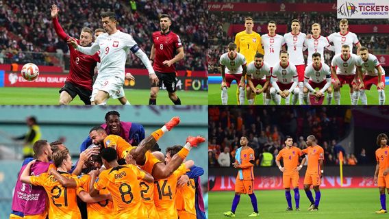 Poland Vs Netherlands: Szczesny's Save Sends Poland to Euro Cup Germany