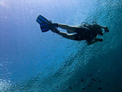 Diving Nusa Penida: A Deep Dive into Aquatic Bliss