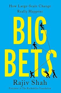 [PDF-EPub] Download Big Bets: How Large-Scale Change Really Happens