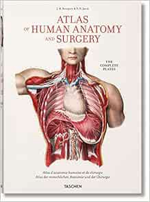 [READ] EBOOK EPUB KINDLE PDF Bourgery. Atlas of Human Anatomy and Surgery by Jean-Marie Le Minor,Hen