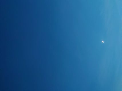 どんなページなのか試してみるの巻