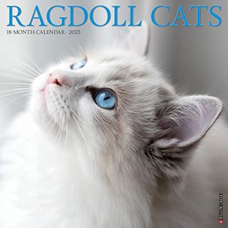 [READ] [PDF EBOOK EPUB KINDLE] Ragdoll Cats 2023 Wall Calendar by  Willow Creek Press 📁