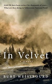 [GET] EPUB KINDLE PDF EBOOK In Velvet: A Novel by  Burt Weissbourd 💝