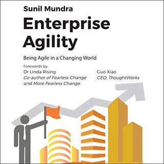 Get PDF EBOOK EPUB KINDLE Enterprise Agility: Being Agile in a Changing World by  Sunil Mundra,Dr. L
