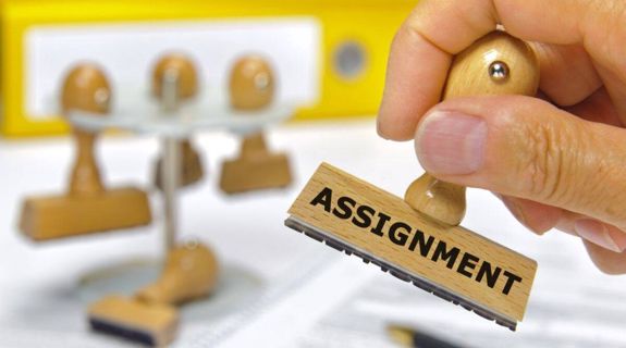 Get Assignment Writers Brisbane and Online Bibliography Maker Service