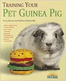 VIEW EBOOK EPUB KINDLE PDF Training Your Guinea Pig (Training Your Pet Series) by Gerry Bucsis,Barba