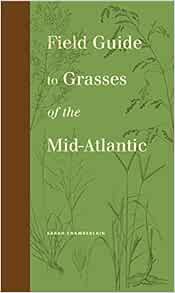 Read [PDF EBOOK EPUB KINDLE] Field Guide to Grasses of the Mid-Atlantic (Keystone Books) by Sarah Ch