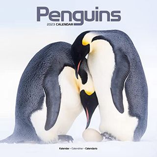 [GET] [EBOOK EPUB KINDLE PDF] Penguin Calendar - Cute Animal Calendar - Calendars 2022 - 2023 Wall C