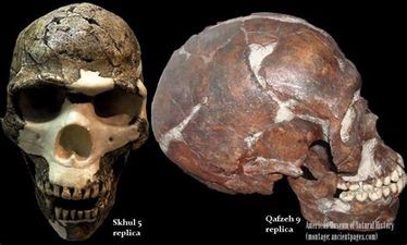 State of human cerebrum has scarcely changed in beyond 160,000 years