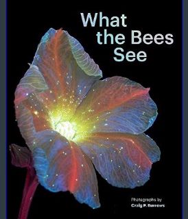 READ [E-book] What the Bees See: A Honeybee's Eye View of the World     Hardcover – March 5, 2024