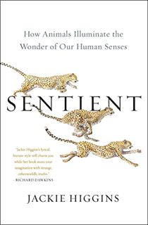 View EPUB KINDLE PDF EBOOK Sentient: How Animals Illuminate the Wonder of Our Human Senses by  Jacki