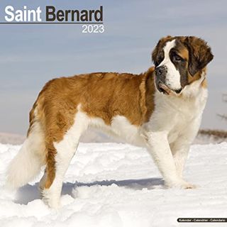 [View] [EPUB KINDLE PDF EBOOK] St. Bernard Calendar - Saint Bernard - 2022 - 2023 Wall Calendars - 1