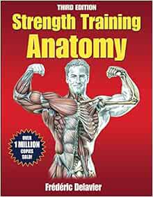 [Get] KINDLE PDF EBOOK EPUB Strength Training Anatomy, 3rd Edition by Frederic Delavier 📪