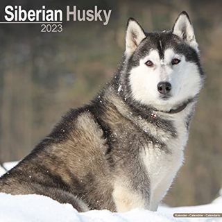[GET] [EBOOK EPUB KINDLE PDF] Siberian Husky Calendar - Dog Breed Calendars - 2022 - 2023 wall calen