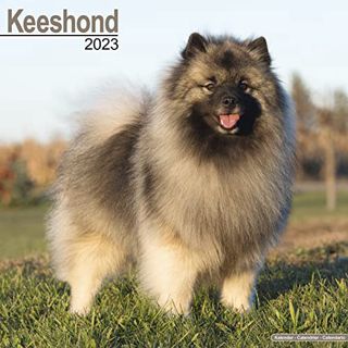 Get [KINDLE PDF EBOOK EPUB] Keeshond Calendar - Dog Breed Calendars - 2022 - 2023 wall calendars - 1