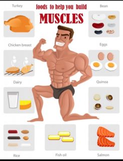 Foods to Avoid prior to Body building