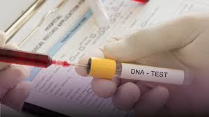 "Dubai DNA Profiling: Decoding Your Genetic Makeup"