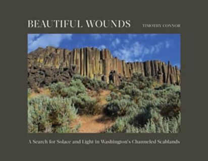 Get [EPUB KINDLE PDF EBOOK] Beautiful Wounds: A Search for Solace and Light in Washington's Channele