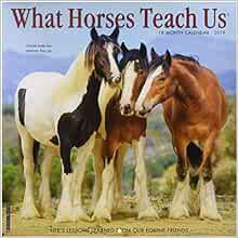 [READ] [PDF EBOOK EPUB KINDLE] What Horses Teach Us 2019 Wall Calendar by Willow Creek Press 📃