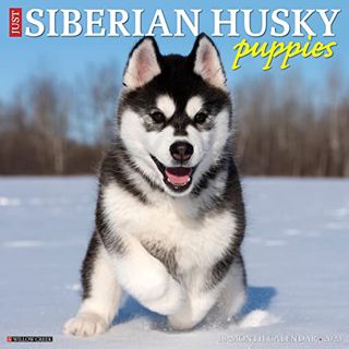 [View] [PDF EBOOK EPUB KINDLE] Just Siberian Husky Puppies 2023 Wall Calendar by  Willow Creek Press