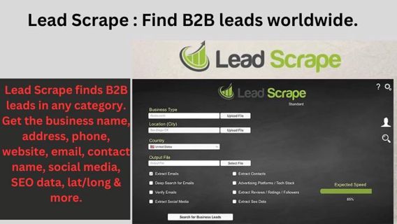 Lead Scrape Review: B2B leads worldwide