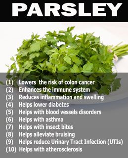 Miraculous Effects of Parsley Herb for Human Health