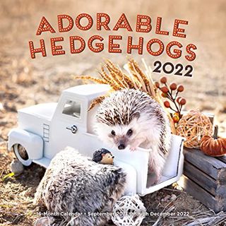 Get PDF EBOOK EPUB KINDLE Adorable Hedgehogs 2022: 16-Month Calendar - September 2021 through Decemb