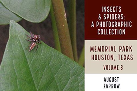 [Get] [EPUB KINDLE PDF EBOOK] Insects & Arachnids: A Photographic Collection: Memorial Park: Houston