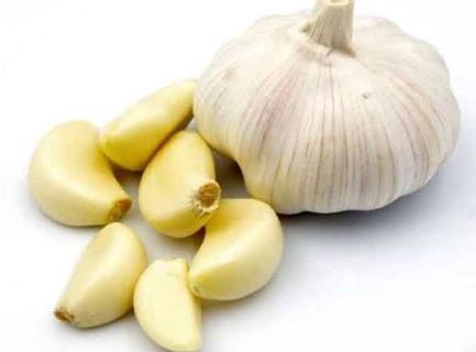 Benefits of Garlic for our health