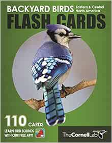 [Read] EPUB KINDLE PDF EBOOK Backyard Birds Flash Cards - Eastern & Central North America (Cornell L