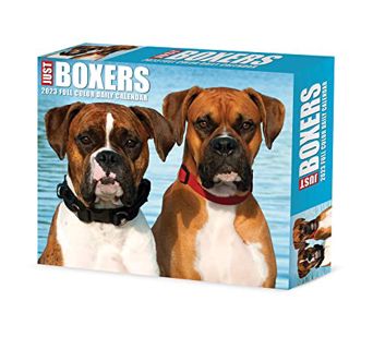 GET KINDLE PDF EBOOK EPUB Boxers 2023 Box Calendar by  Willow Creek Press 📧