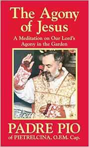 [View] PDF EBOOK EPUB KINDLE The Agony of Jesus by Cap. Padre Pio of Pietrelcina, O.F.M. 📧