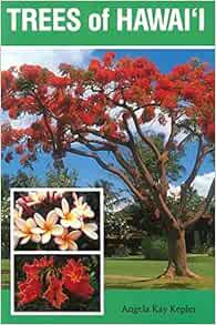 [Access] [PDF EBOOK EPUB KINDLE] Trees of Hawai'i (Kolowalu Books) by Angela Kay Kepler 📬