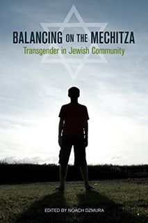Read EBOOK EPUB KINDLE PDF Balancing on the Mechitza: Transgender in Jewish Community (Io Series) by