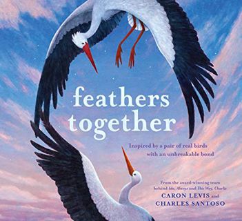 [Access] EPUB KINDLE PDF EBOOK Feathers Together (Feeling Friends) by  Caron Levis &  Charles Santos