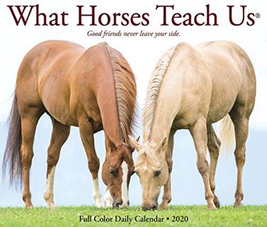 [Access] KINDLE PDF EBOOK EPUB What Horses Teach Us 2020 Box Calendar by  Willow Creek Press ✅