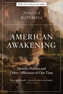 READ PDF EBOOK EPUB KINDLE American Awakening: Identity Politics and Other Afflictions of Our Time b