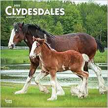 Access KINDLE PDF EBOOK EPUB Clydesdales 2022 12 x 12 Inch Monthly Square Wall Calendar, Animals Hor