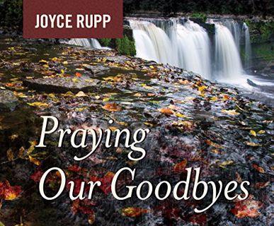 GET [KINDLE PDF EBOOK EPUB] Praying Our Goodbyes by  Joyce Rupp &  Sherry Kennedy Brownrigg ✓