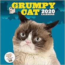 [Read] EPUB KINDLE PDF EBOOK Grumpy Cat 2020 Wall Calendar: (Funny Gag Gift Yearly Calendar, Cat Lov